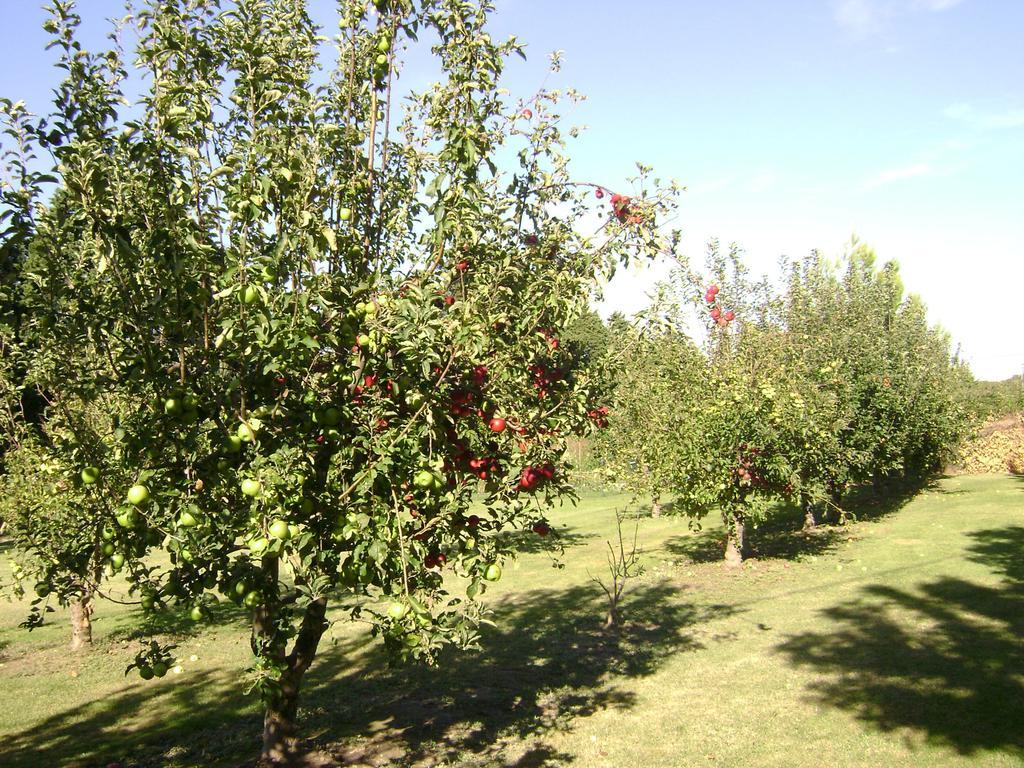 Gite La Gourmandine 圣昂迪奥勒 外观 照片